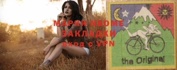 прущие грибы Балахна