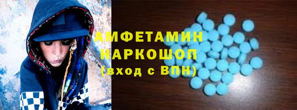 прущие грибы Балахна