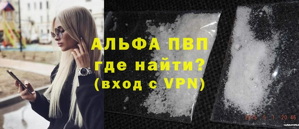 прущие грибы Балахна