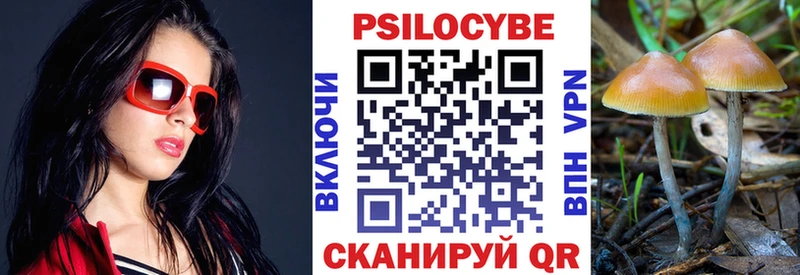 купить закладку  Семёнов  Псилоцибиновые грибы мухоморы 