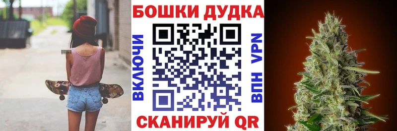 Каннабис семена  сколько стоит  Семёнов 